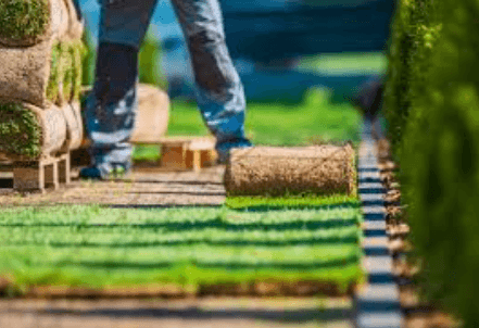 How to Choose the Right Turf Supplies in Sydney
